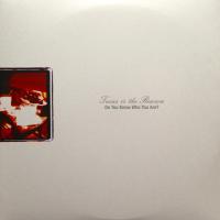 Виниловая пластинка Texas Is The Reason / Do You Know Who You Are - The Complete Collection (2LP)