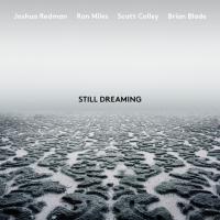 Компакт-диск Joshua Redman, Ron Miles, Scott Colley, Brian Blade / Still Dreaming (CD)