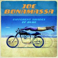 Компакт-диск Joe Bonamassa / Different shades of blue (Jewel)(1CD)