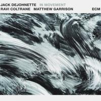 Виниловая пластинка Jack DeJohnette, Ravi Coltrane, Matthew Garrison / In Movement (2LP)