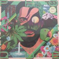 Виниловая пластинка Phonique / Green supreme (coloured) (1LP)