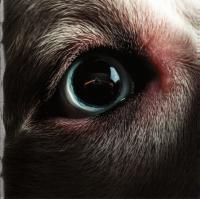 Компакт-диск Roger Waters / The Dark Side Of The Moon Redux (Digisleeve) (1CD)