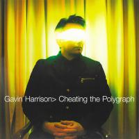 Виниловая пластинка Gavin Harrison / Cheating The Polygraph (1LP)