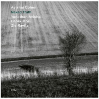 Компакт-диск Avishai Cohen Quartet / Naked Truth (1CD)