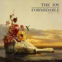 Виниловая пластинка Joy Formidable / Wolf S Lam (2LP)