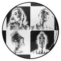 Виниловая пластинка No Doubt / Push And Shove (Picture Disc)(LP)