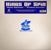 Виниловая пластинка KINGS OF SPIN / BAHIA MADNESS / ENDLESS SUMMER (1LP)