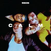 Виниловая пластинка 5 Seconds Of Summer / Calm (LP)