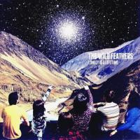 Виниловая пластинка The Wild Feathers / Lonely Is A Lifetime (LP)