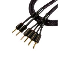 Кабель акустический Tributaries 6BW-B-100D 10 ft. 3m (2X4 Banana)