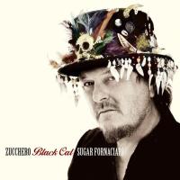 Компакт-диск Zucchero Sugar Fornaciari / Black Cat (CD)