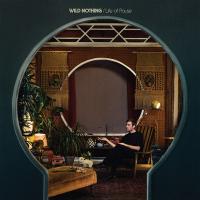 Виниловая пластинка Wild Nothing / Life Of A Pause (LP)