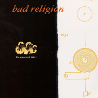 Виниловая пластинка Bad Religion / The Process Of Belief (Orange  Galaxy) (1LP)