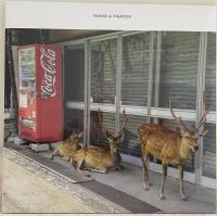 Виниловая пластинка Vainio And Vigroux / Peau froide, leger soleil (2LP)