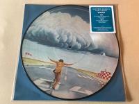Виниловая пластинка MANFRED MANNS EARTH BAND Watch (Picture Disc) (LP)