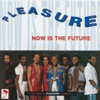 Виниловая пластинка PLEASURE / NOW IS THE FUTURE: THE BEST OF PLEASURE (1LP)