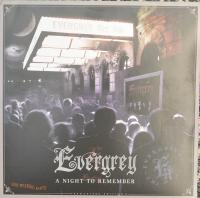 Виниловая пластинка Evergrey / A Night To Remember (Silver Vinyl) (3LP)