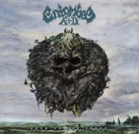 Виниловая пластинка Entombed A.D. / Back To The Front (1LP) Виниловая пластинка Entombed A.D. / Back To The Front (1LP)