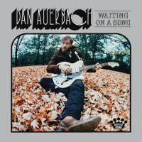 Виниловая пластинка Dan Auerbach / Waiting On A Song (LP)