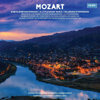 Виниловая пластинка SLOVAK PHILHARMONIC ORCHESTRA - CAMERATA LABACENSIS / MOZART - EINE KLEINE NACHTMUSIK, SALZBURG SYMPHONIES (1LP) Виниловая пластинка SLOVAK PHILHARMONIC ORCHESTRA - CAMERATA LABACENSIS / MOZART - EINE KLEINE NACHTMUSIK, SALZBURG SYMPHONIES (1LP)