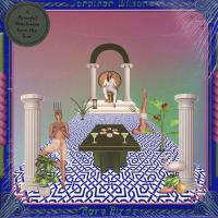 Виниловая пластинка Jonathan Wilson / Rare Birds (2LP)