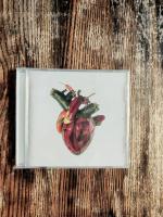 Компакт-диск Carcass / Torn Arteries (Jewel) (1CD)