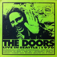Виниловая пластинка The Doors / Live in seattle 1970 (grey marble vinyl) (1LP)