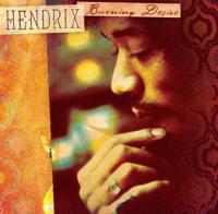 Виниловая пластинка Jimi Hendrix / Burning Desire (Translucent Orange & Red) (2LP)