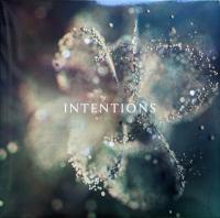 Виниловая пластинка Anna / Intentions (2LP)