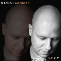 Виниловая пластинка DAVID LABORIER / NE:X:T - 180 GRAM (1LP)