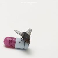 Компакт-диск Red Hot Chili Peppers / I'm With You (CD)
