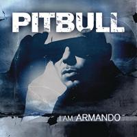 Компакт-диск Pitbull / I Am Armando (2CD)
