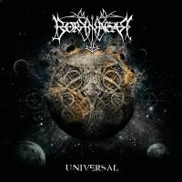 Компакт-диск Borknagar / Universal (RU)(CD)