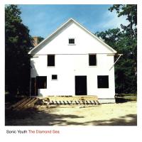 Виниловая пластинка Sonic Youth / Diamond Sea (12 INCH)