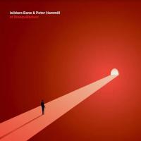 Виниловая пластинка Peter Hammill and Isildurs Bane / In Disequilibrium (coloured) (Red Vinyl) (LP)