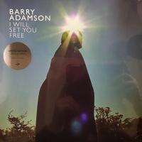Виниловая пластинка Barry Adamson / I Will Set You Free (Curacao, Limited) (1LP)