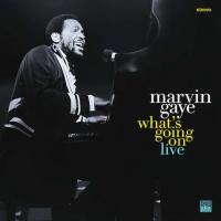 Виниловая пластинка Marvin Gaye / What'S Going On - Live At The Kennedy Center (2LP)