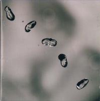 Компакт-диск Peter Gabriel / Up (Jewel) (1CD)