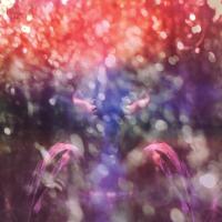 Виниловая пластинка Maybeshewill / Fair Youth (10Th Anniversary Remix And Remaster) (coloured) (1LP)