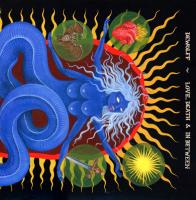 Виниловая пластинка DEWOLFF / LOVE, DEATH & IN BETWEEN (2LP)