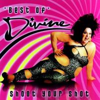 Виниловая пластинка Divine / Best Of Divine Shoot Your Shot (LP)