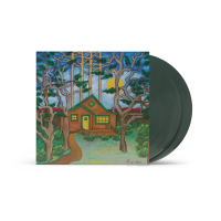 Виниловая пластинка Low Roar / House In The Woods (Forest Green) (2LP)