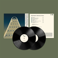 Виниловая пластинка Gogo Penguin / Necessary Fictions (black vinyl) (2LP) Виниловая пластинка Gogo Penguin / Necessary Fictions (black vinyl) (2LP)