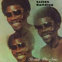 Виниловая пластинка Berkely Ike Jones / Nation Building (LP)