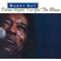 Виниловая пластинка Buddy Guy / Damn Right, I've Got The Blues (LP)