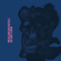 Виниловая пластинка Pino Palladino / That Wasn't A Dream (1LP)