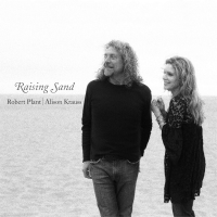 Виниловая пластинка Alison Krauss, Robert Plant / Raising Sand (2LP)