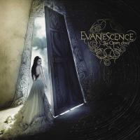 Виниловая пластинка Evanescence / The Open Door (2LP)