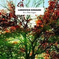 Виниловая пластинка Ludovico Einaudi / In A Time Lapse (черный винил) (2LP)