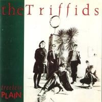 Компакт-диск The Triffids / Treeless Plain (CD)